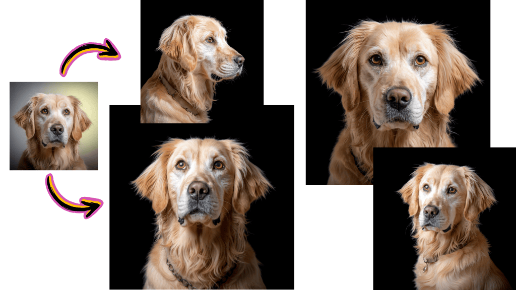 Hochwertiges Foto hochladen